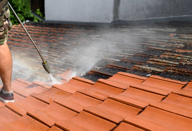 Trusted Rocky Point, NC Pressure Washing Experts